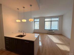 2145 44th Drive 1D, Long Island City NY 11101
