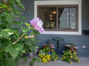 31 Timber Ridge, Mount Kisco NY 10549