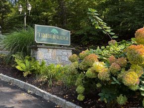 31 Timber Ridge, Mount Kisco NY 10549