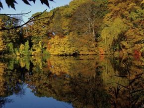 11 Muir Place, New Rochelle NY 10801