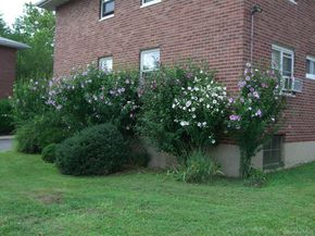 48 Dehaven 2E, Yonkers NY 10703