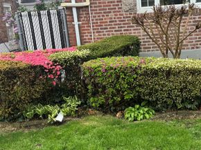 111-54 178th Place, Addisleigh Park NY 11433