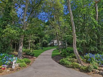 353 Split Rock Road