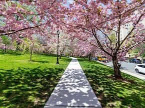18 Edgewood Street, White Plains NY 10605