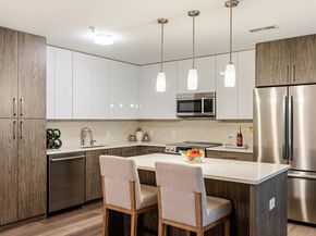 771 Harrison Ave 304, Boston MA 02118