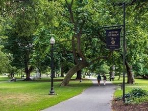 93 Beacon Street, Boston MA 02108