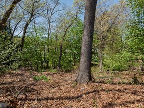 17 Woodcliff Road, Quincy MA 02169