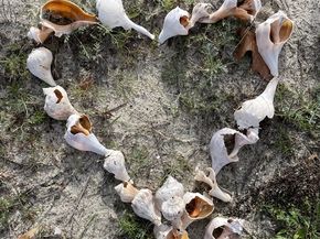 45 Bay Pointe Drive Extension 45, Wareham MA 02532