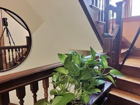 19 Mt Ida Road, Boston MA 02122