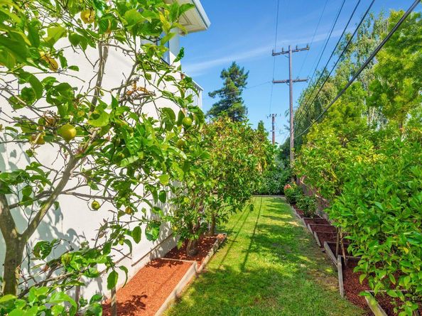 3709 Kenwood Avenue, San Mateo CA 94403