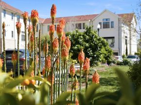 136 Lottie Lane, Campbell CA 95008