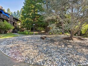 3314 Brittan Avenue 1, San Carlos CA 94070