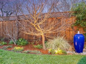 1329 Rodney Drive, San Jose CA 95118