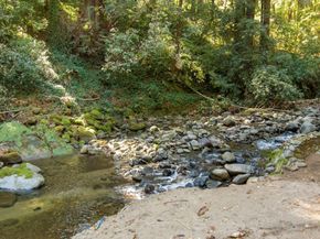 515 Burnside Bend, Boulder Creek CA 95006