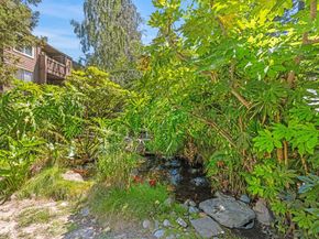 646 Teatree Court, San Jose CA 95128