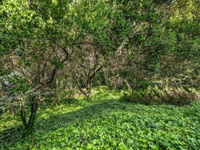 1255 Tuolumne Road, Millbrae CA 94030