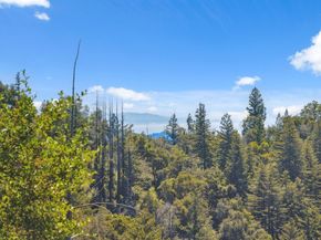 1 Wedwood Widge Way, Boulder Creek CA 95006