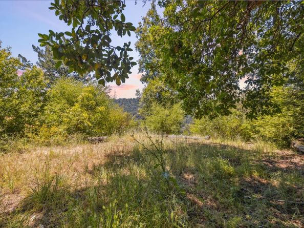 1 Wedwood Widge Way, Boulder Creek CA 95006