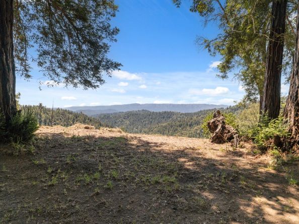 1 Wedwood Widge Way, Boulder Creek CA 95006