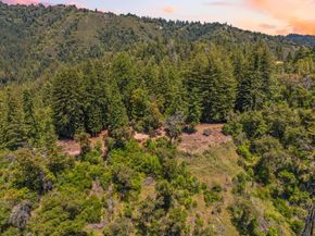 1 Wedwood Widge Way, Boulder Creek CA 95006