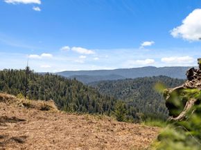 1 Wedwood Widge Way, Boulder Creek CA 95006