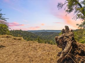 1 Wedwood Widge Way, Boulder Creek CA 95006