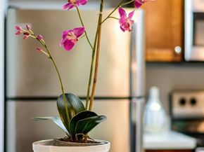 6148 Shelter Creek Lane, San Bruno CA 94066