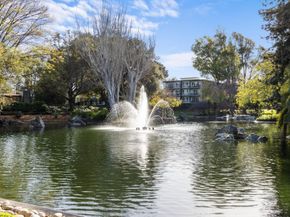 833 N Humboldt Street 201, San Mateo CA 94401