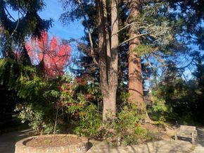 269 Selby Lane, Atherton CA 94027