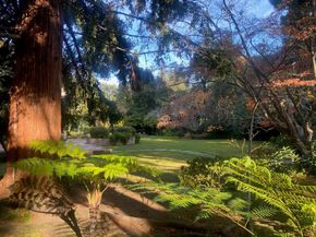 269 Selby Lane, Atherton CA 94027