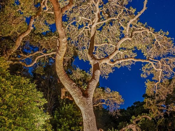 23423 Toyonita Road, Los Altos Hills CA 94024