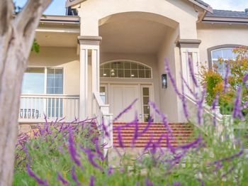 2360 Sunflower Circle