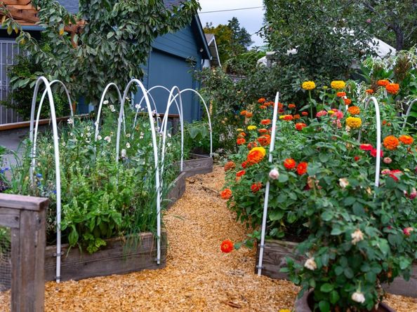 229 Coulson Avenue, Santa Cruz CA 95060