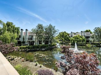 221 Shorebird Circle