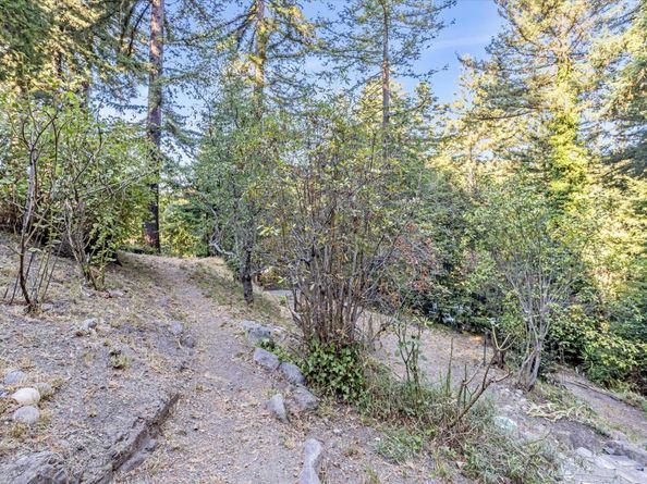 1045 Forest Way, Brookdale CA 95007