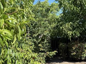 310 Oak Avenue, Redwood City CA 94061