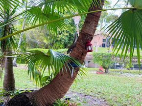 11405 Lakeview Dr 3A, Coral Springs FL 33071