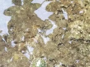 801 S Biscayne River Dr, Miami FL 33169