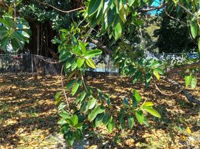 801 S Biscayne River Dr, Miami FL 33169