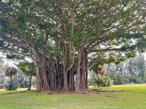 3000 S course dr 501, Pompano Beach FL 33069