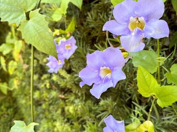 617 NE 191st St, Miami FL 33179