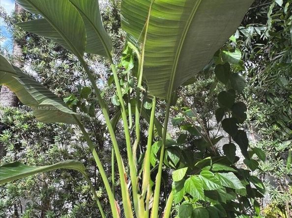 617 NE 191st St, Miami FL 33179