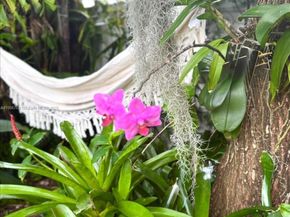 617 NE 191st St, Miami FL 33179