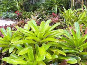 617 NE 191st St, Miami FL 33179