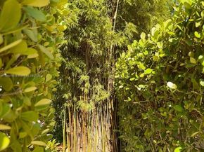 617 NE 191st St, Miami FL 33179