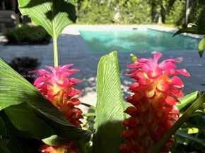 617 NE 191st St, Miami FL 33179