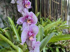 617 NE 191st St, Miami FL 33179