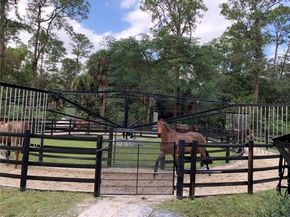 Undisclosed Address #A11950388, Loxahatchee FL 33470