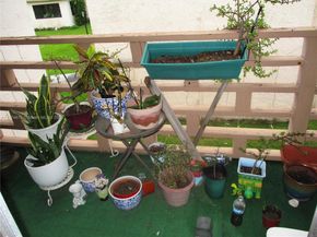 2831 Pierce St 205, Hollywood FL 33020
