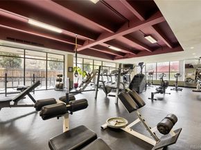 1433 N Williams Street 305, Denver CO 80218